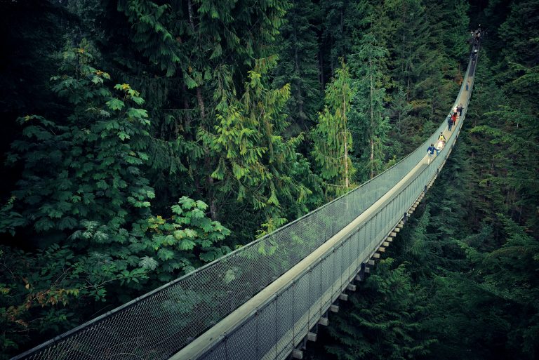 How to Plan a Visit to Capilano Suspension Bridge