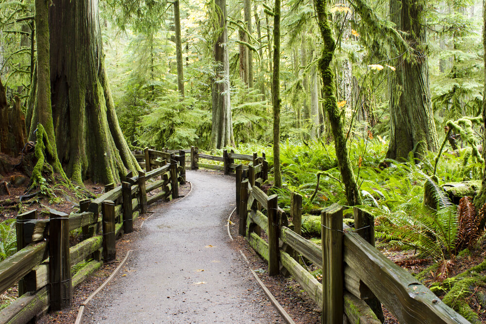 Summer in Vancouver: Visit These Places with Kids During Summers