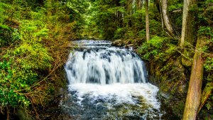 Rolley Lake Park Provincial Park